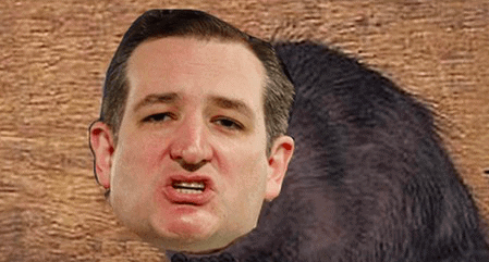 Human Rat Ted Cruz Says US Should Rely More on Israel For Medical Supplies