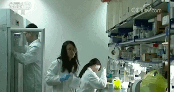 Video From 2018 Shows Chinese Scientists Studying a ‘Novel Coronavirus’ in Wuhan Lab