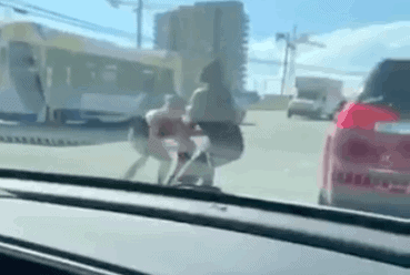 Subhuman Gorilla Attacks White Woman With Her Own Dog