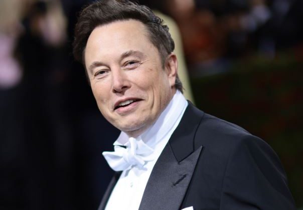 Top G Elon Musk Calls Out Anti-White Violence in South Africa